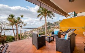 Palm Tree House By Amazing Madeira