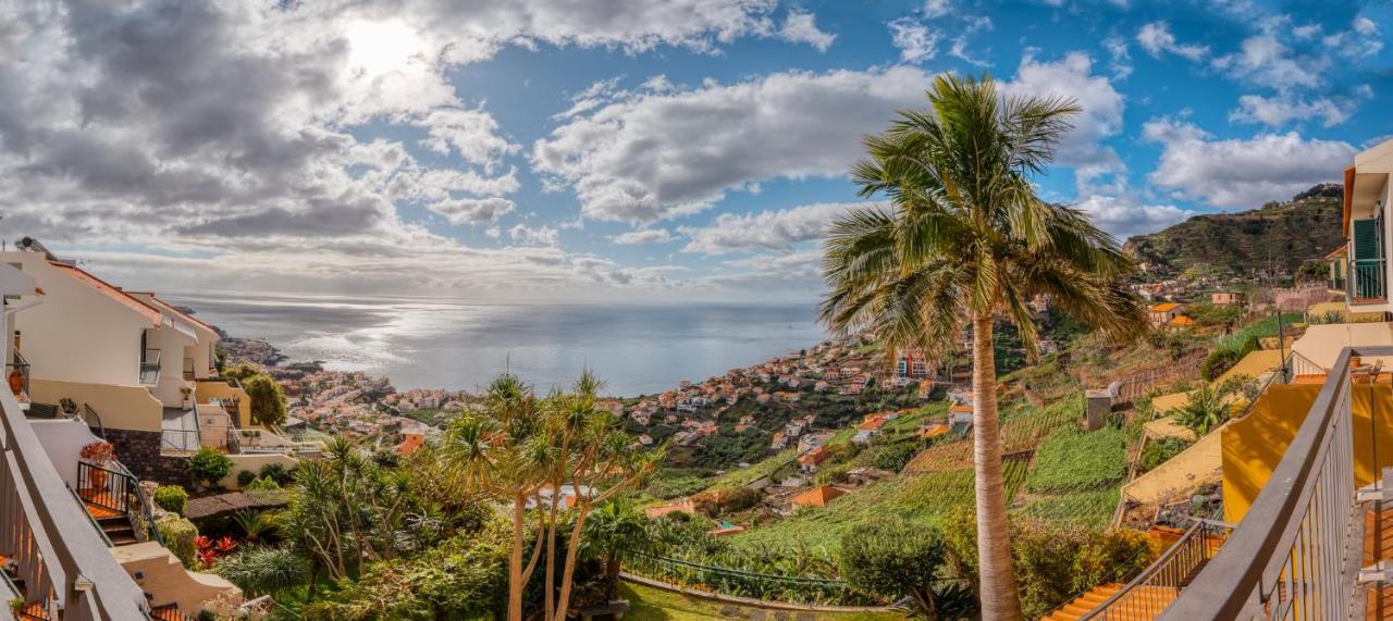 Willa Palm Tree House By Amazing Madeira Câmara de Lobos Zewnętrze zdjęcie