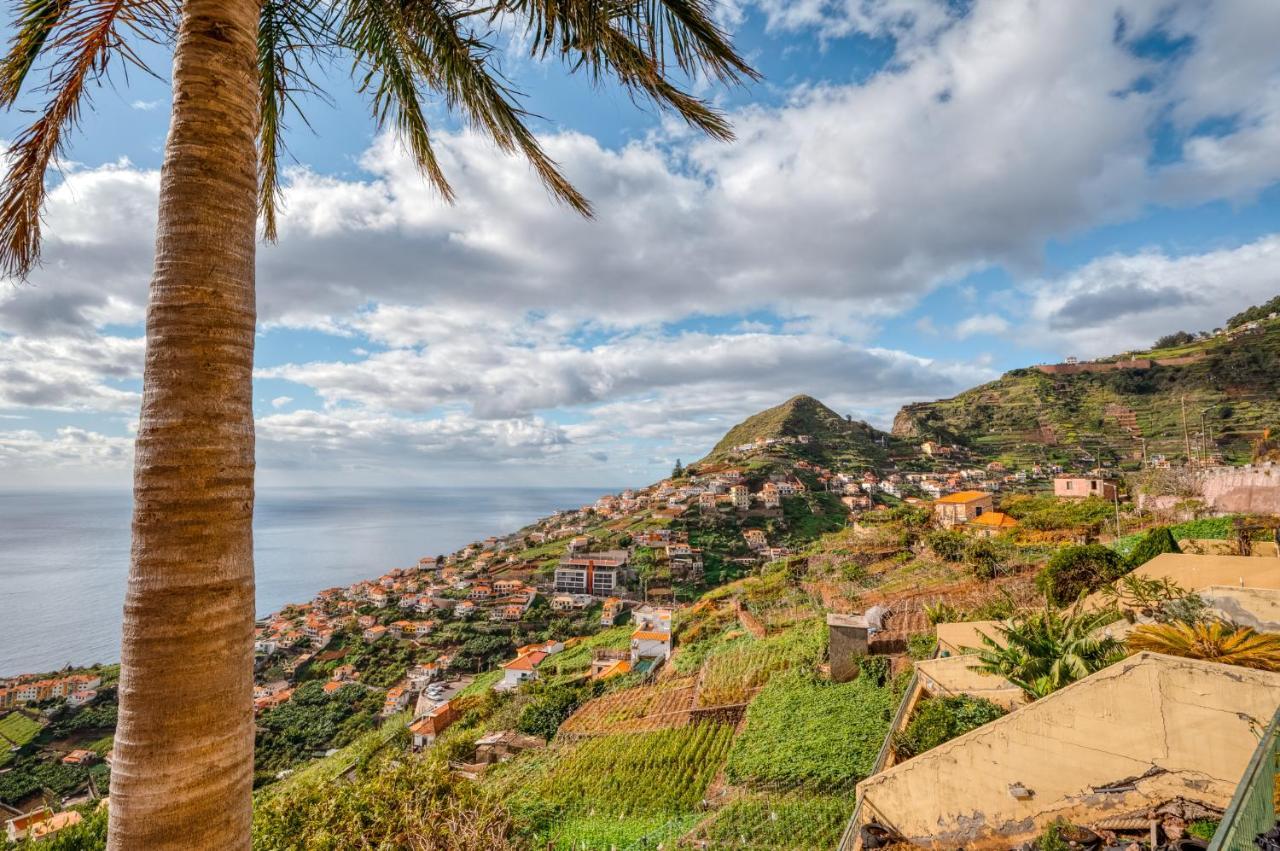 Willa Palm Tree House By Amazing Madeira Câmara de Lobos Zewnętrze zdjęcie